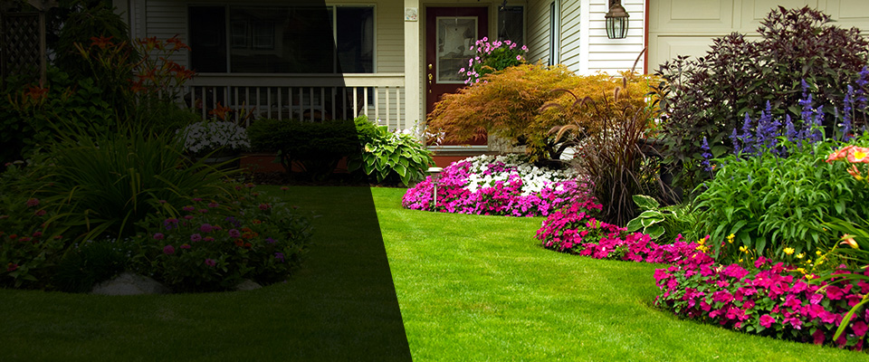 Millis Landscapers