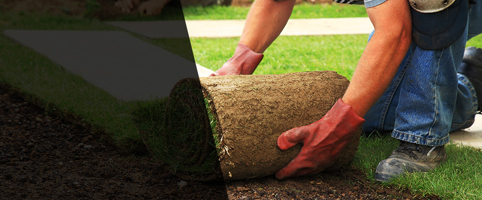 Millis Landscapers